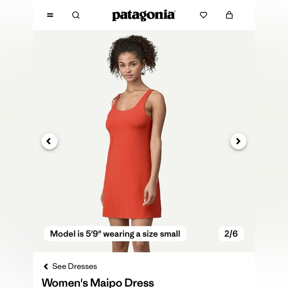 Patagonia |Women's Maipo Red Dress Large BNWT